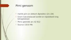 Pirn #8