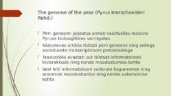 Pirn #10
