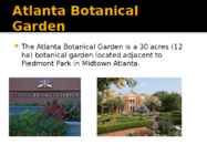 Atlanta #7