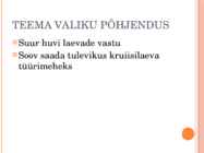 Kaitsekõne slaid tööst kruiisilaevad Victoria Luise´st Quantumini #2
