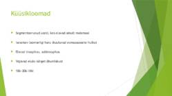 Onychophora küüsikloomad #4