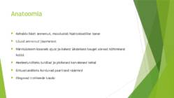 Onychophora küüsikloomad #9