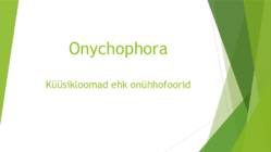 Onychophora küüsikloomad