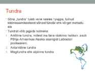 Põhja-ameerika Tundra #2