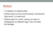 Põhja-ameerika Tundra #5