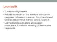 Põhja-ameerika Tundra #8