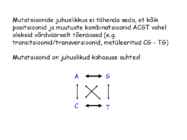 Looduslik valik ja muutlikus #16