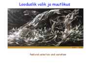 Looduslik valik ja muutlikus