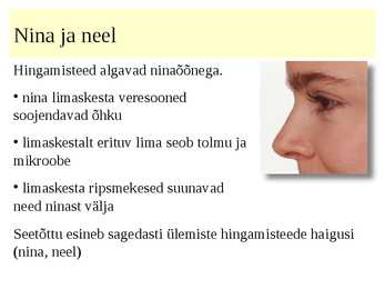 Hingamiselundkonna põhjalik kokkuvõte #3