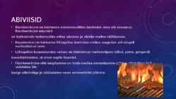 Toiduainete kuumtöötlusviisid #9