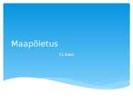 Maapõletus
