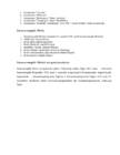 SOOMUSRONGIDE TÄHTSUS VABADUSSÕJAS #8