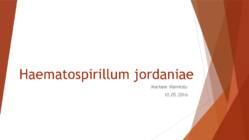Haematospirillum jordaniae