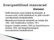 Merepõhja maavarad #15