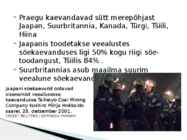 Merepõhja maavarad #16
