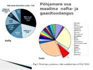 Merepõhja maavarad #8