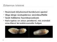 Priapulida-Halicryptus spinulosus #11