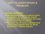 OVERFISHING #6