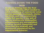 OVERFISHING #7