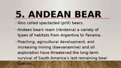 Most endangered bears #11