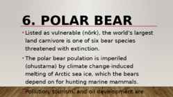 Most endangered bears #13