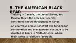 Most endangered bears #17