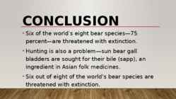 Most endangered bears #19