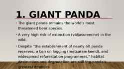 Most endangered bears #3