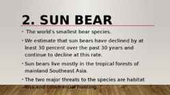 Most endangered bears #5