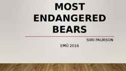 Most endangered bears