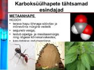 ALKOHOLIDE JA KARBOKSÜÜLHAPETE ESINDAJAD-SÜSIHAPE #8