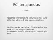 Toscana põllumajandus #6