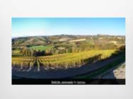 Toscana põllumajandus #8