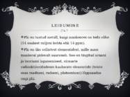 Plii #5