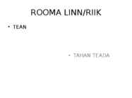 ROOMA LINNA RAJAMINE