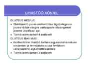 Kõnnianalüüs #13