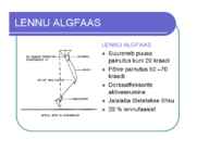 Kõnnianalüüs #8