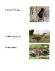 Spring in Estonia #11
