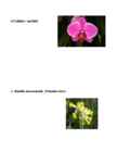 Spring in Estonia #7