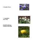 Spring in Estonia #8