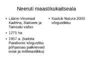 Pandivere kõrgustik #11