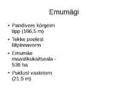 Pandivere kõrgustik #5