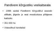 Pandivere kõrgustik #8
