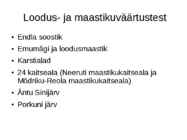 Pandivere kõrgustik #9