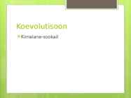 EMAJÕE-SUURSOO #13