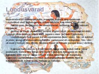 Egiptus - üldinfo-loodusvarad #3