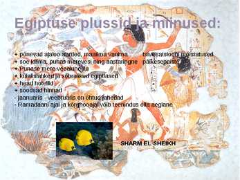Egiptus - üldinfo-loodusvarad #4