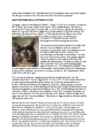 Cats #102