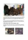 Cats #108