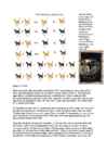 Cats #112